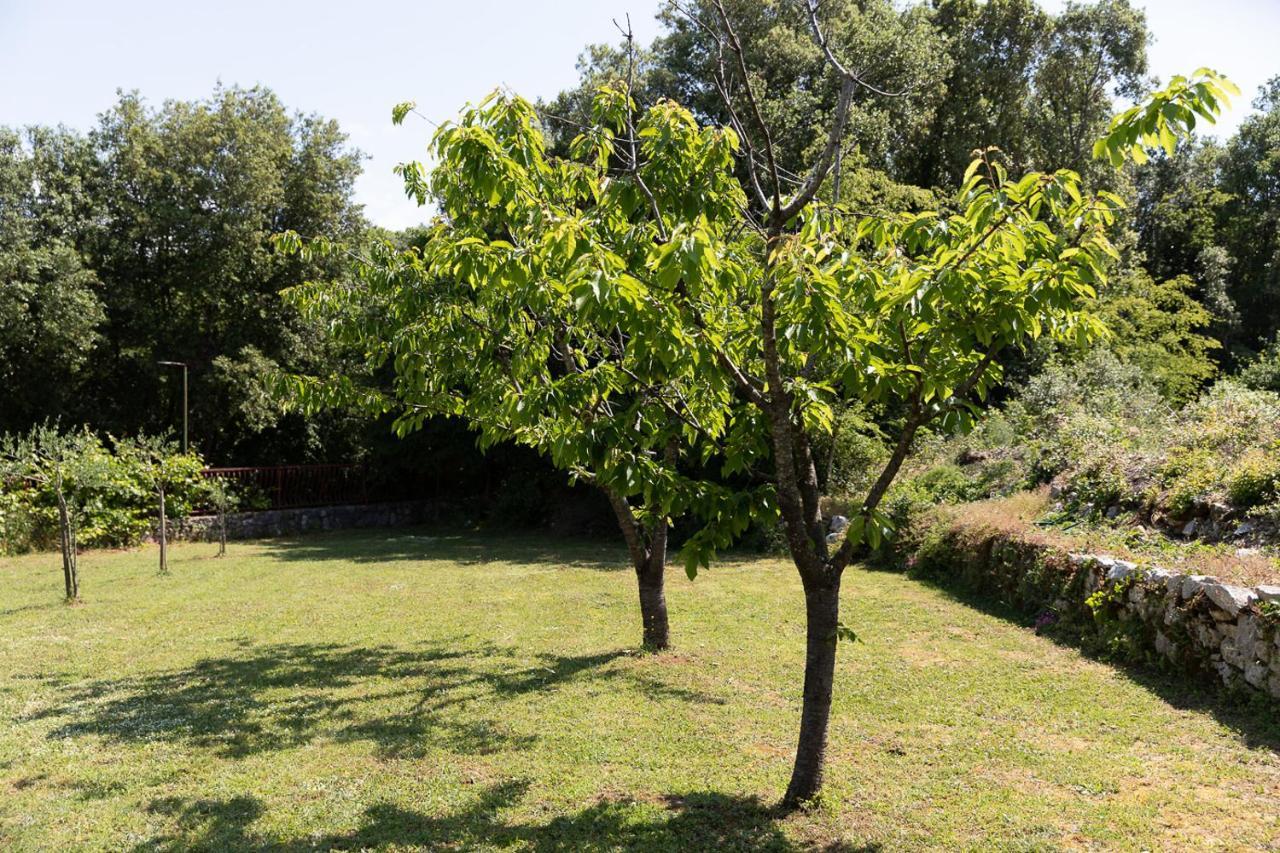 Holiday House Hana Rovinj Bagian luar foto