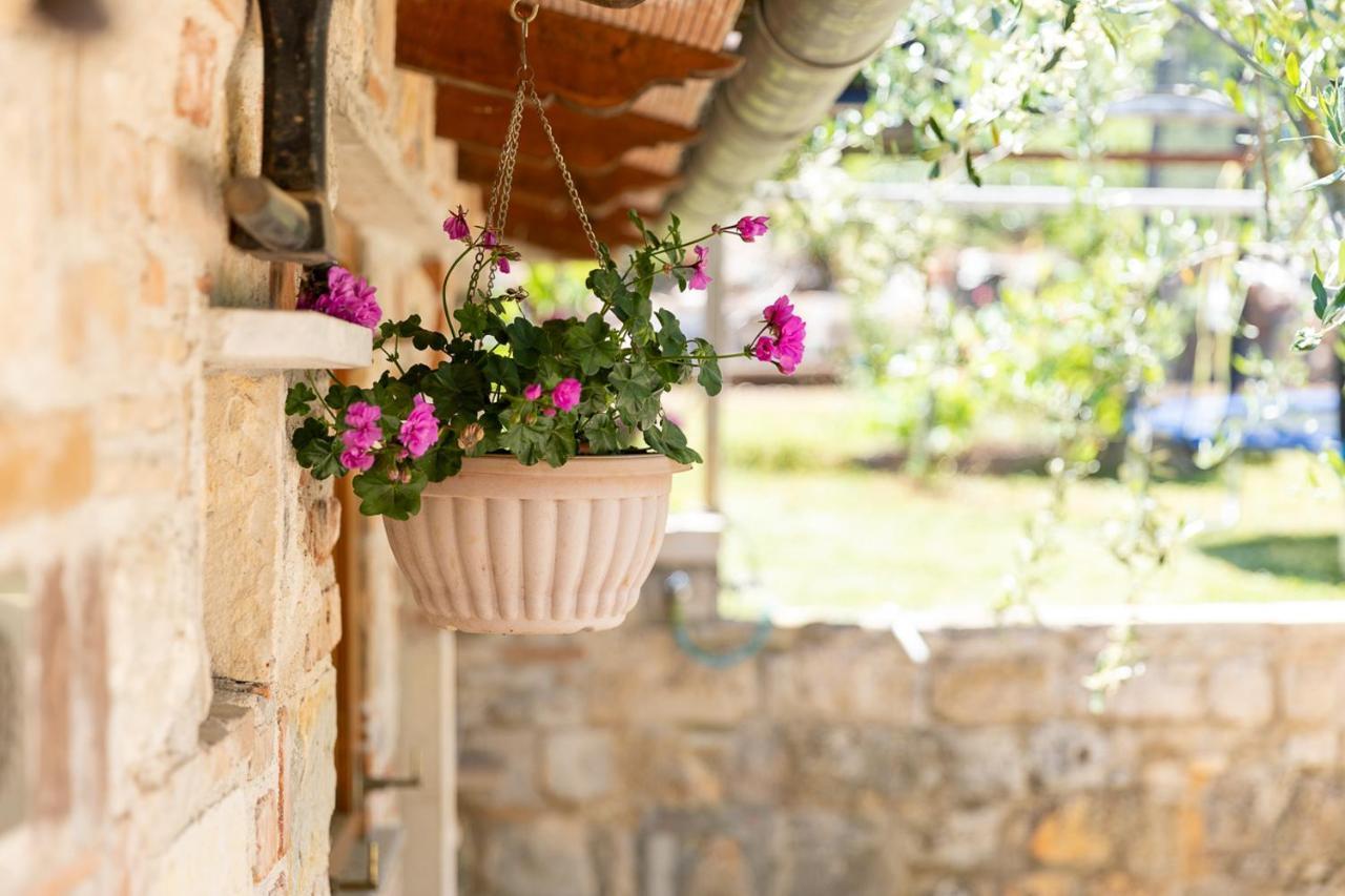 Holiday House Hana Rovinj Bagian luar foto